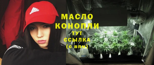 дмт Алексин
