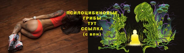 ALPHA PVP Алзамай