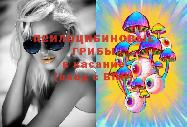 дмт Алексин