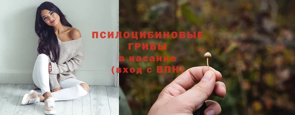 дмт Алексин