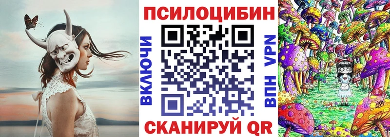 shop телеграм  Нытва  Псилоцибиновые грибы Psilocybe 