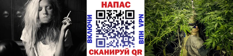 Бошки марихуана ГИДРОПОН  Нытва 